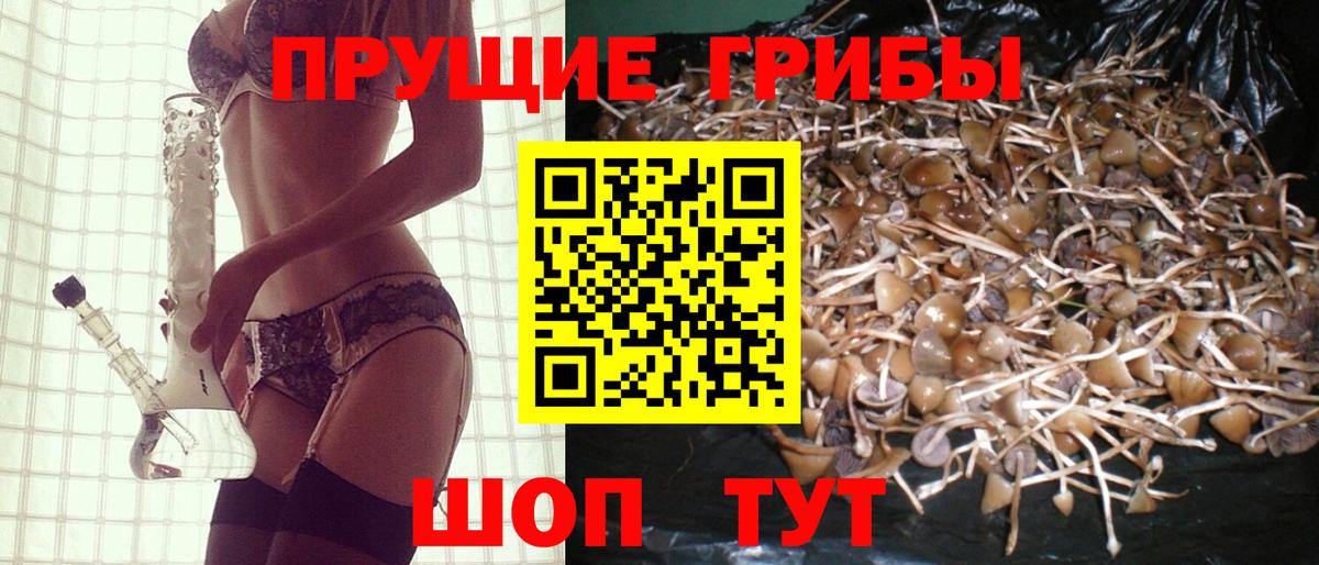 Псилоцибиновые грибы мицелий Ревда